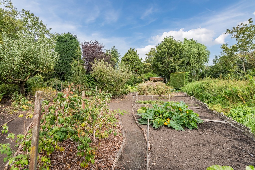 20250828, Noordeinde 91, Waddinxveen, Oudijk Makelaardij (98 of 114).jpg